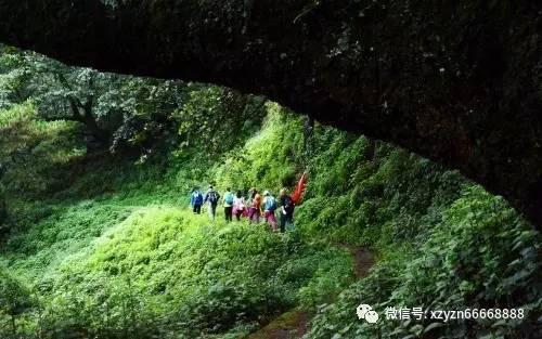 全民剧本大师内置菜单