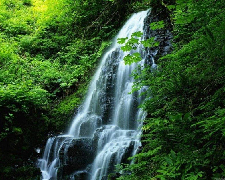 春雨直播app