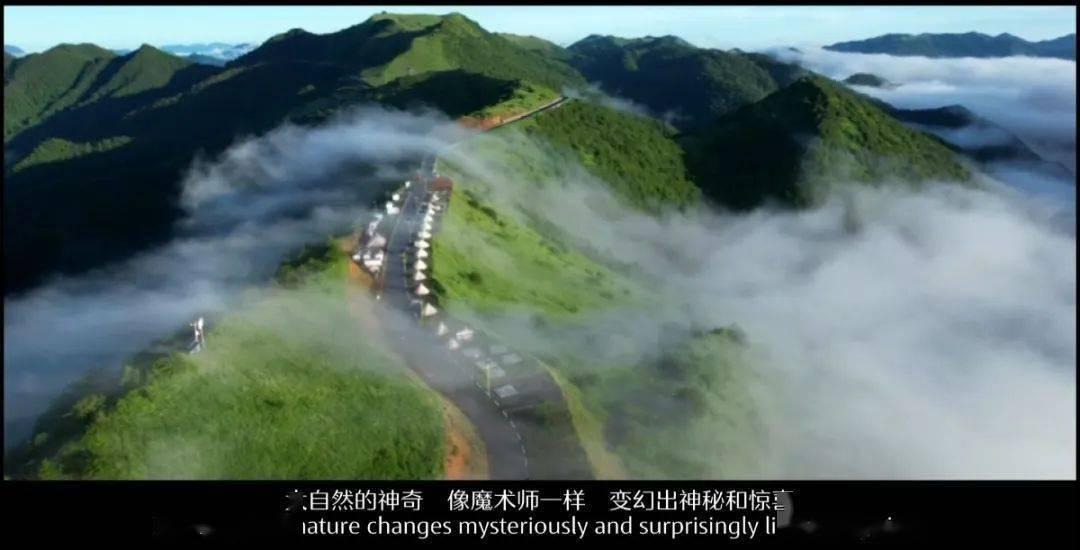 喜欢一座城,是从这里冬季的海开始,地处祖国的东北方,却与大海相生相依,零下十余度的冬天让这里的快乐不再属于寒冷。