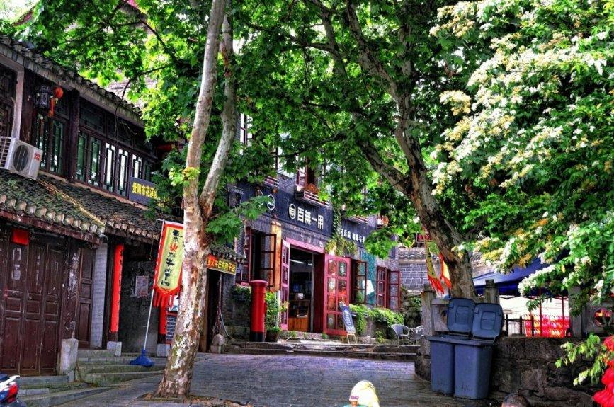 小猫钓鱼游戏龙王版有船